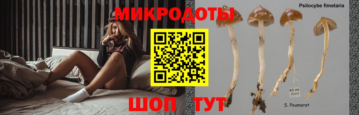 Комсомольск-на-Амуре  Галлюциногенные грибы мицелий  Вход с VPN 